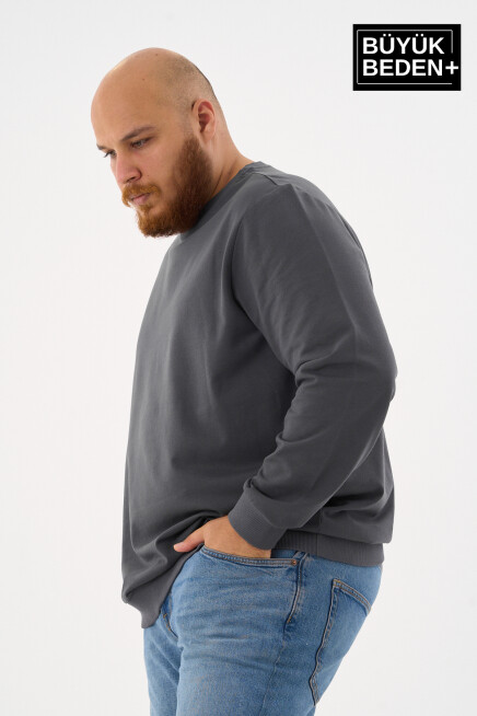 Erkek Büyük Beden Bisiklet Yaka ince Sweatshirt SPR24BSW56