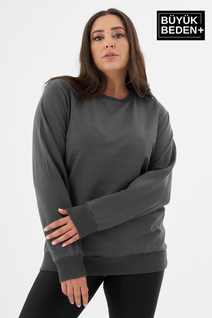 Kadın Büyük Beden Bisiklet Yaka İnce Sweatshirt SPR24BSWK56