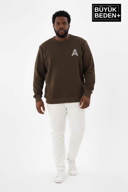 Erkek Büyük Beden A Baskılı Bisiklet Yaka ince Sweatshirt SPR26BSW956-12